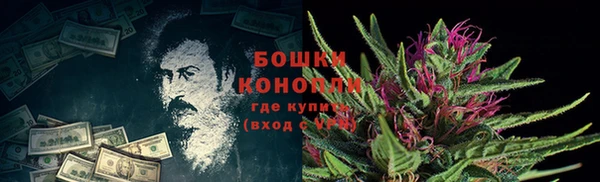 спиды Канск