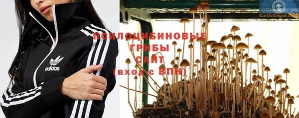 PSILOCYBIN Саяногорск