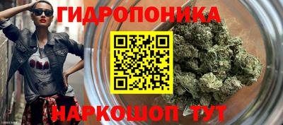 кокс Аргун