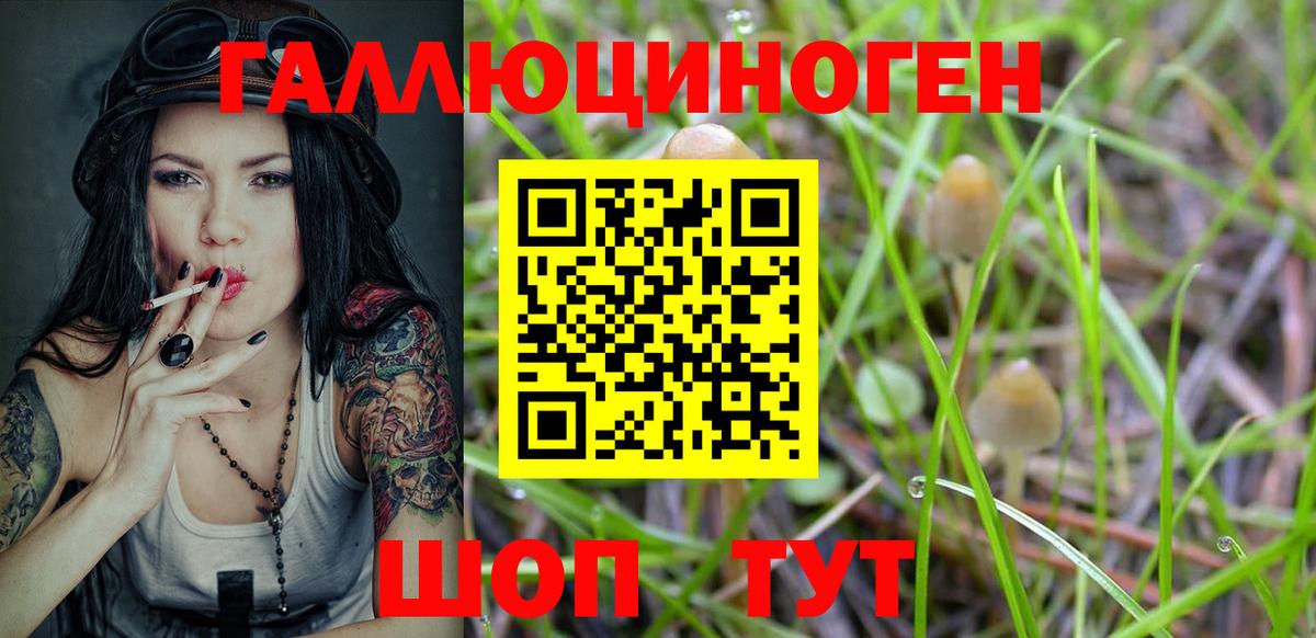 Астрахань  Галлюциногенные грибы MAGIC MUSHROOMS  Вход с VPN 
